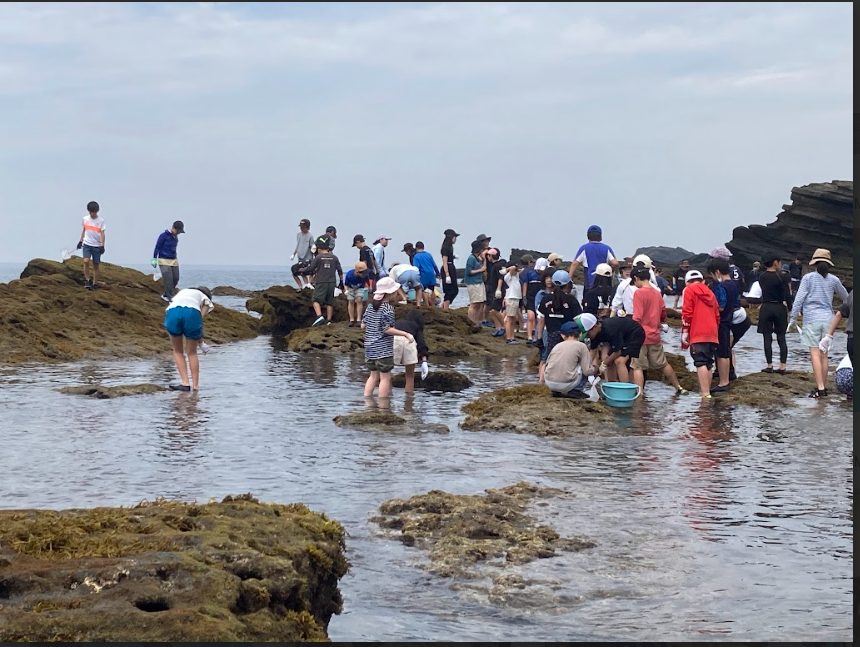 ６月１１−１２日　５年生「海の移動教室」